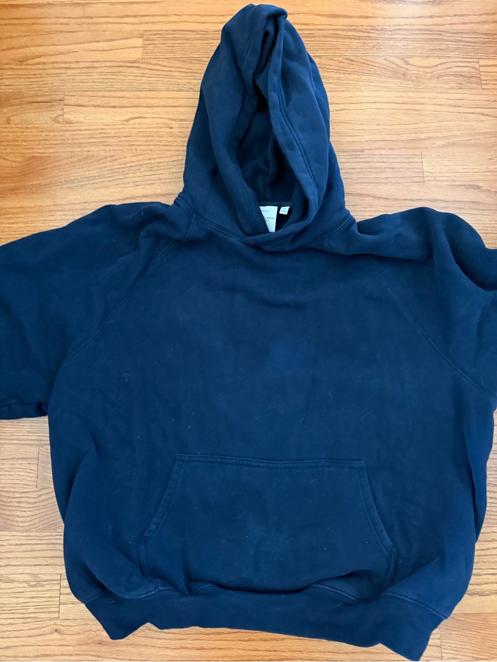 Aritzia Megafleece hoodie